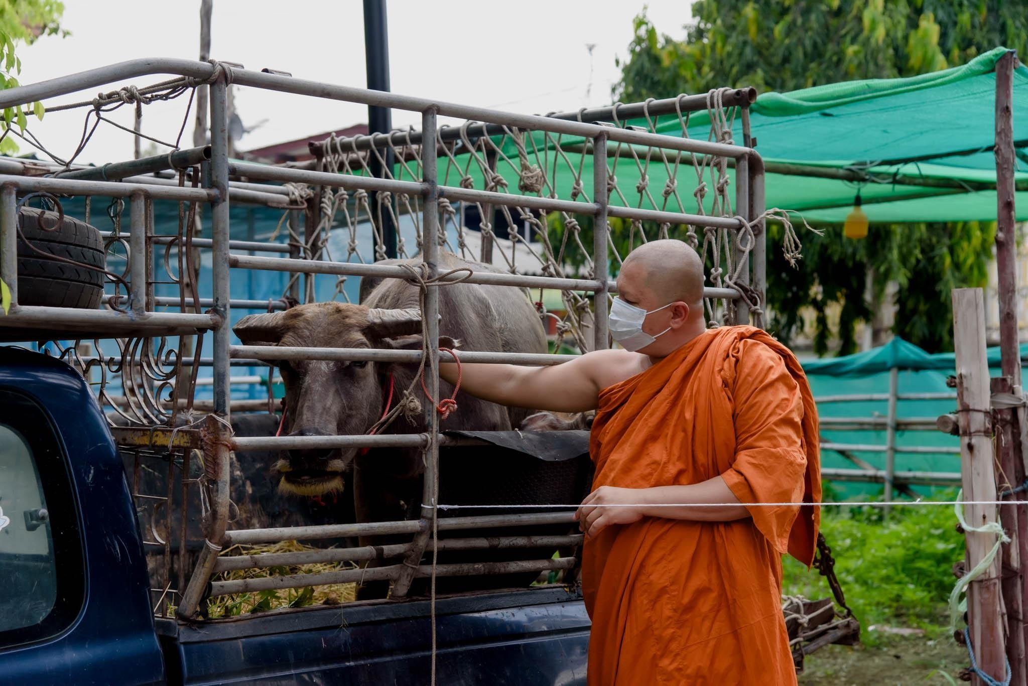 อนุโมทนาสาธุ บุญที่โยมร่วมทำสำเสร็จแล้ว